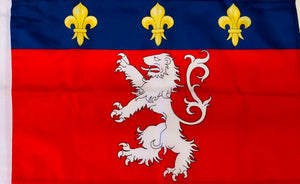 AZ FLAG - Drapeau Ville de Lyon - 90x60 cm - Drapeau Lyonnais 100% Polyester Avec Fourreau et Cordelette - Pavillon 50 g AZ FLAG - Drapeau Ville de Lyon - 90x60 cm - Drapeau Lyonnais 100% Polyester Avec Fourreau et Cordelette - Pavillon 50 g